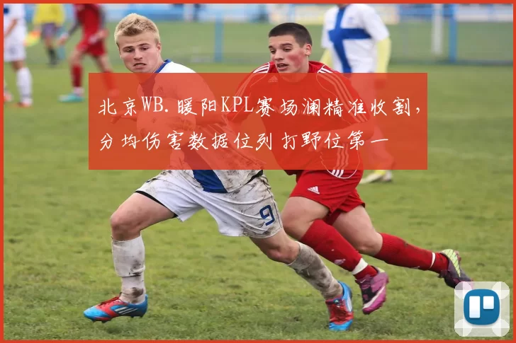 北京WB.暖阳KPL赛场澜精准收割,分均伤害数据位列打野位第一