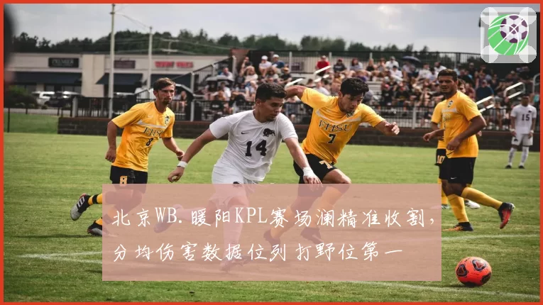 北京WB.暖阳KPL赛场澜精准收割,分均伤害数据位列打野位第一
