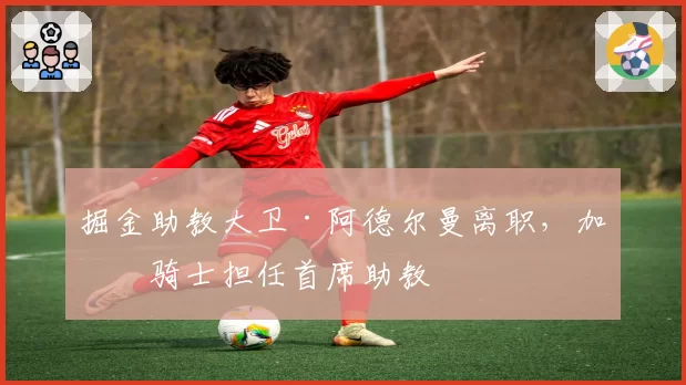 掘金助教大卫·阿德尔曼离职，加盟骑士担任首席助教