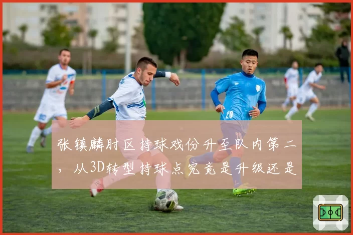 张镇麟肘区持球戏份升至队内第二,从3D转型持球点究竟是升级还是冒险