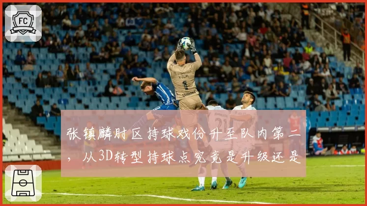 张镇麟肘区持球戏份升至队内第二，从3D转型持球点究竟是升级还是冒险