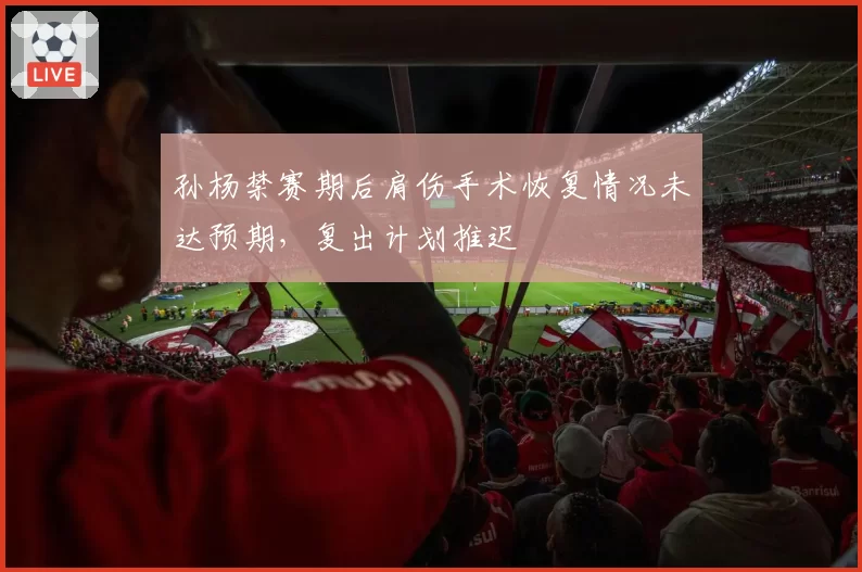 孙杨禁赛期后肩伤手术恢复情况未达预期,复出计划推迟